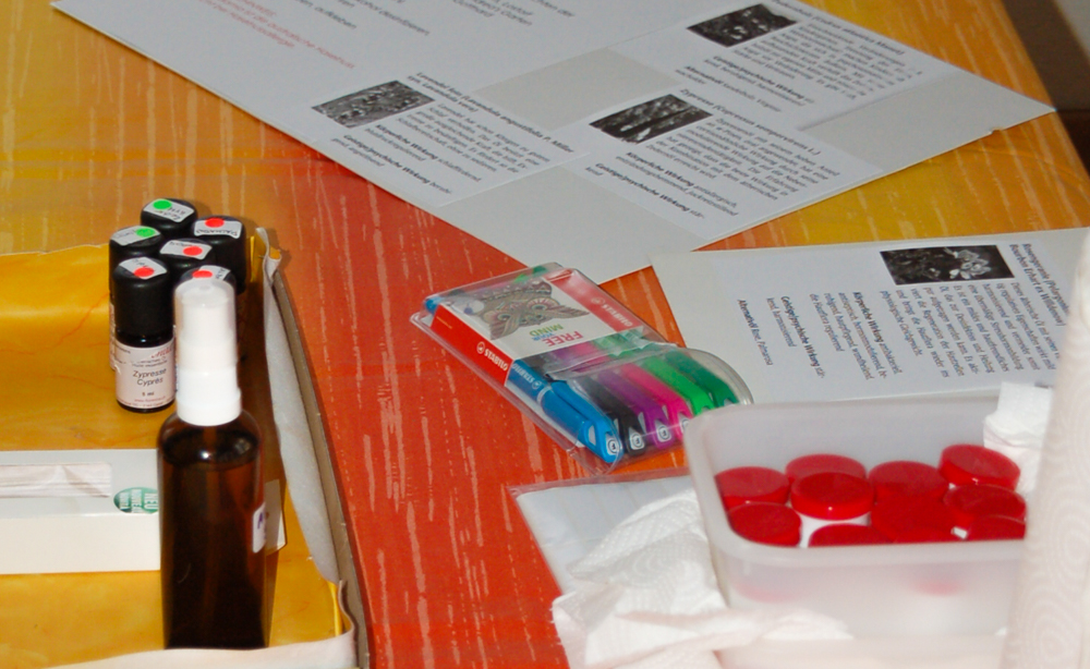 ysolia_massage_aromatherapie_ Ausbildung Aroma 2 ysolia_massage_aromatherapie_ Ausbildung Aroma 2